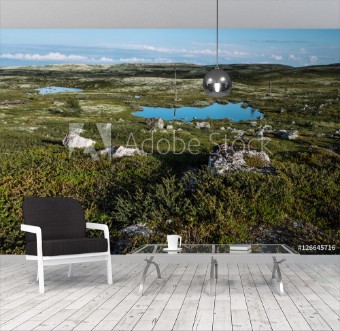 Picture of Tundra landscape Russia